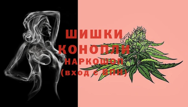 гашик Бородино