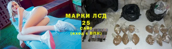 apvp Богданович