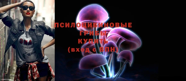 кокс Богородицк