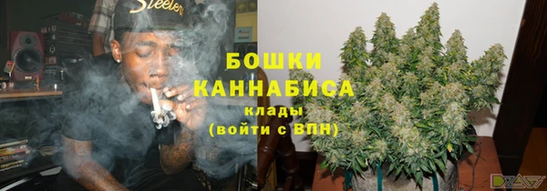 кокс Богородицк