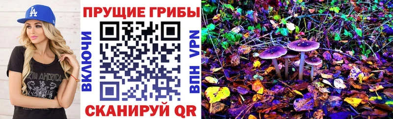 сколько стоит  Бузулук  Псилоцибиновые грибы Psilocybine cubensis 