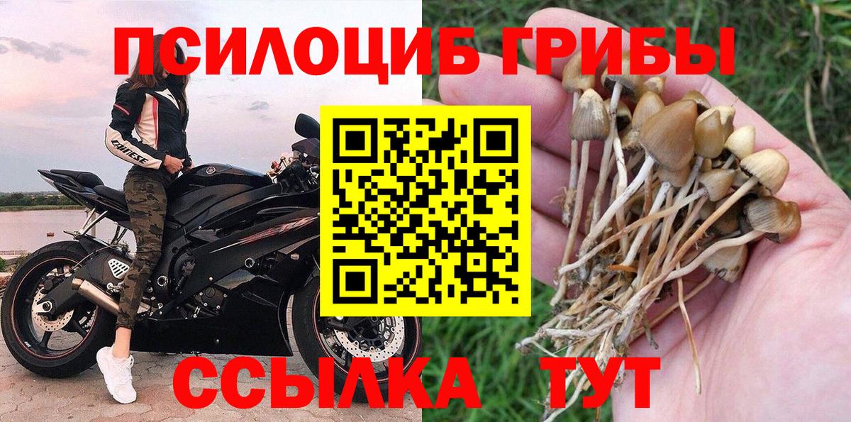 Бузулук  Псилоцибиновые грибы мухоморы  Вход с VPN 