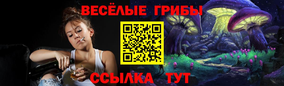 Галлюциногенные грибы Psilocybine cubensis Бузулук